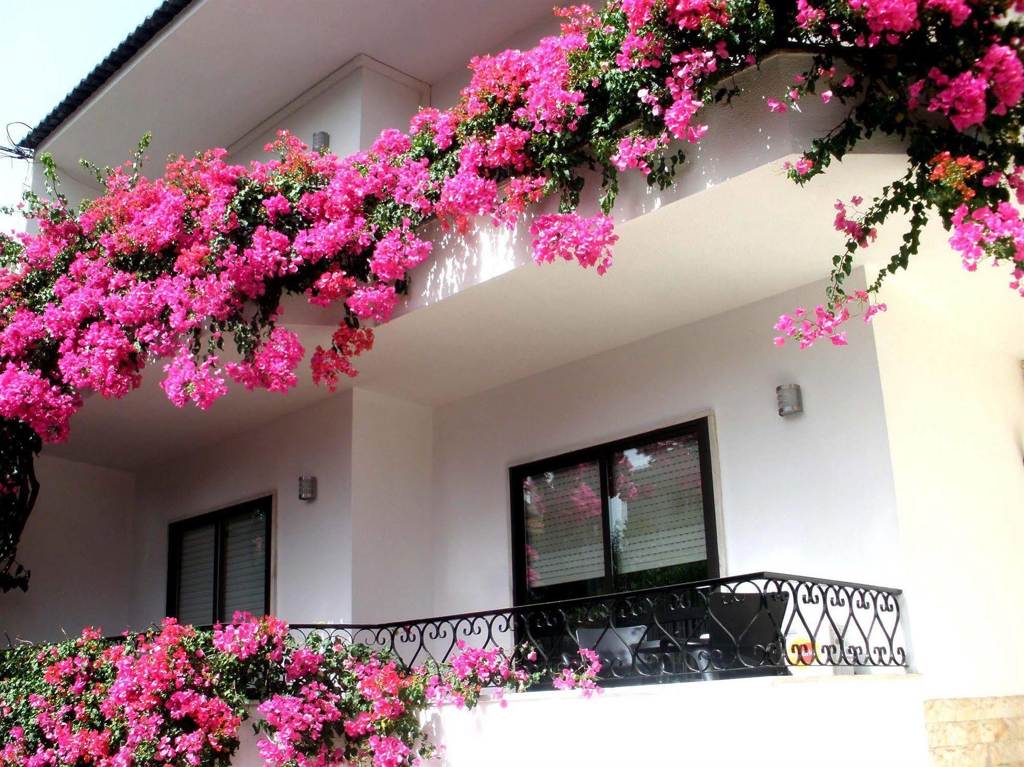 Dolce Cascais Guest House Bagian luar foto